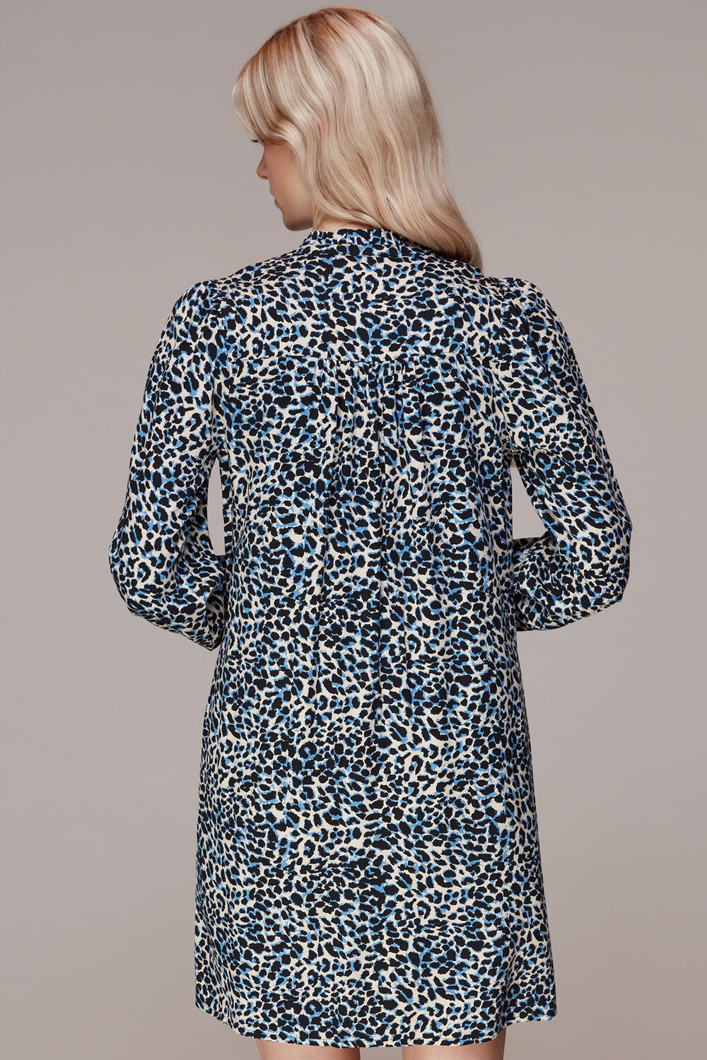 Eva Abstract Cheetah Dress